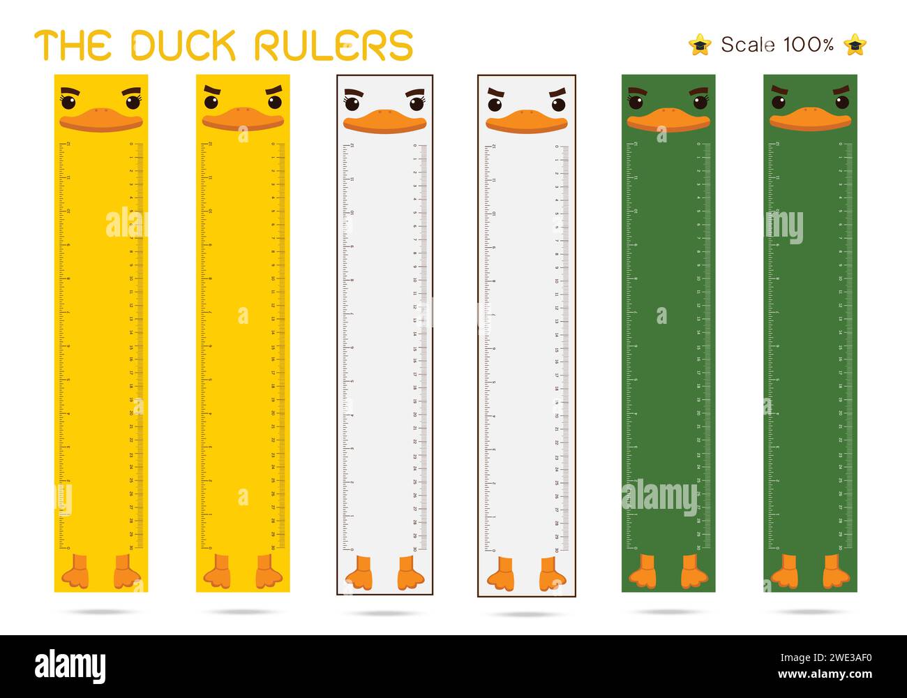 Duck of Rulers Inch and metric rulers. Scale for a ruler in inches and centimeters. Centimeters and inches measuring scale cm metrics indicator. Inch Stock Vector