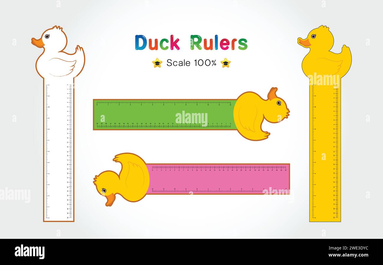 Duck of Rulers Inch and metric rulers. Scale for a ruler in inches and centimeters. Centimeters and inches measuring scale cm metrics indicator. Inch Stock Vector