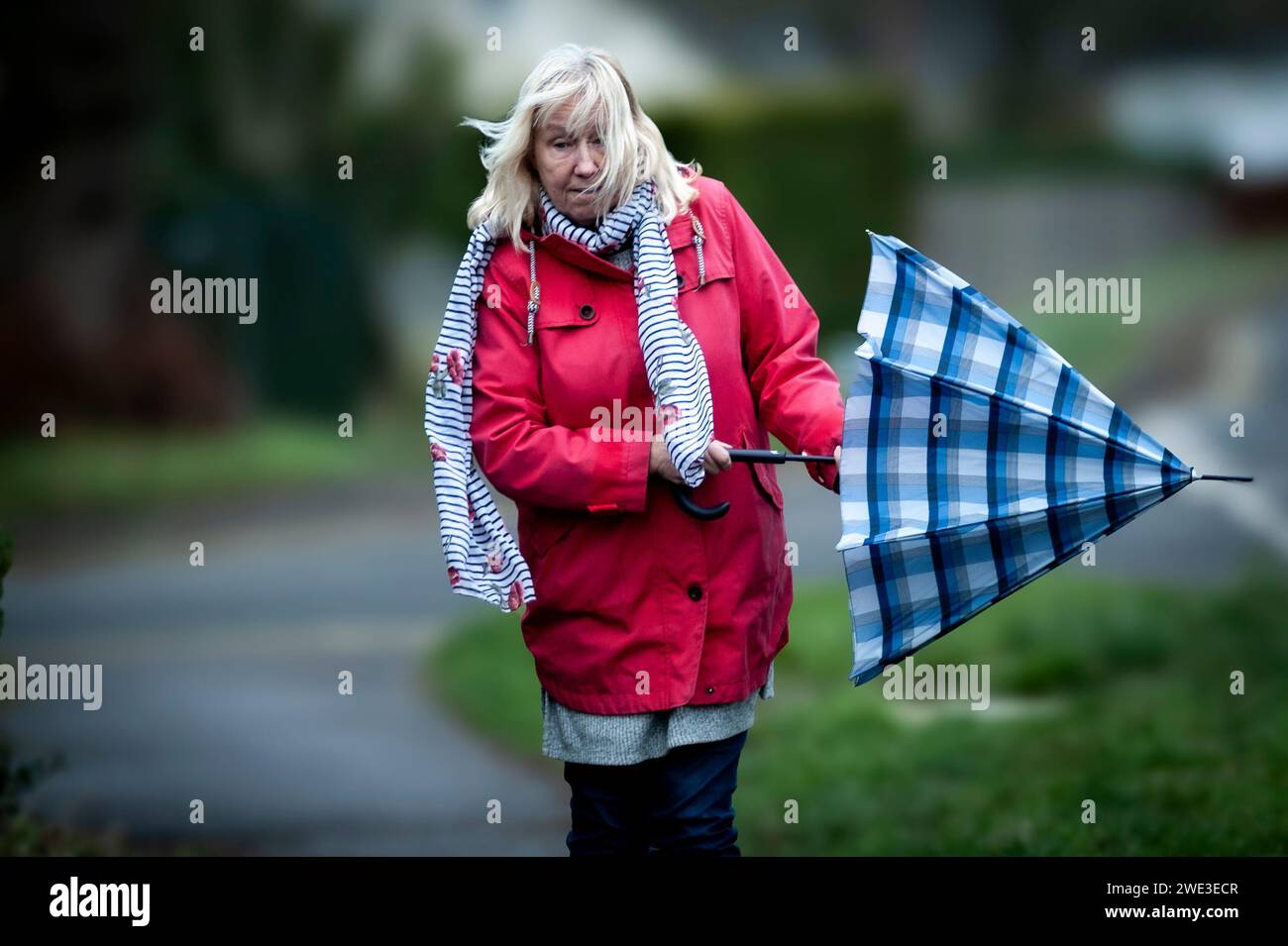 Woman in a red coat with a blue umbrella on a windy stormy day, UK Stock Photo