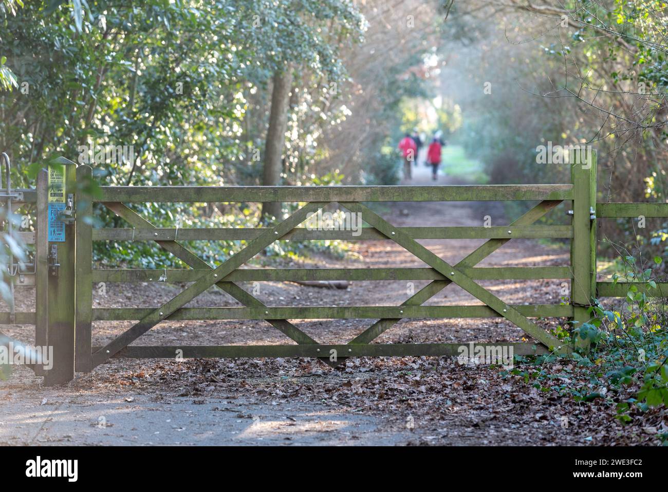 Old wooden gate on a footpath in the English countryside, hikers in the ...