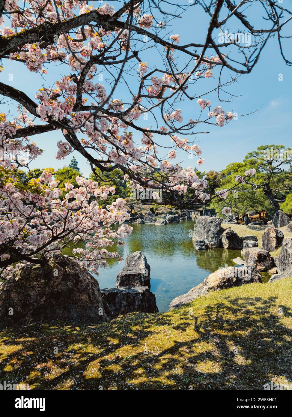 Peaceful flora hi-res stock photography and images - Alamy