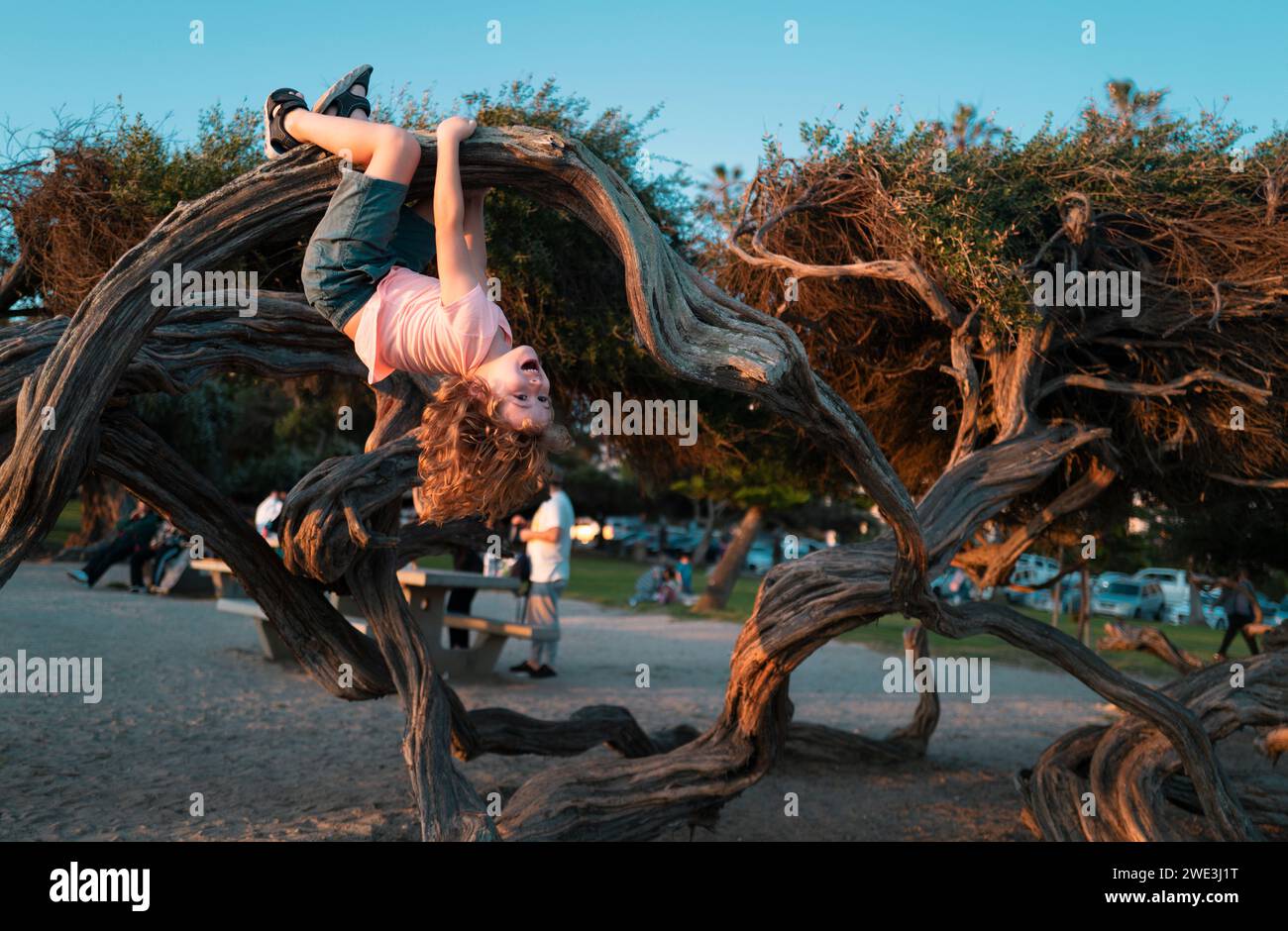 Happy boy enjoying summer in a park. Cute little kid boy enjoying climbing on tree. Cute child learning to climb, having fun. Happy time in nature. Stock Photo