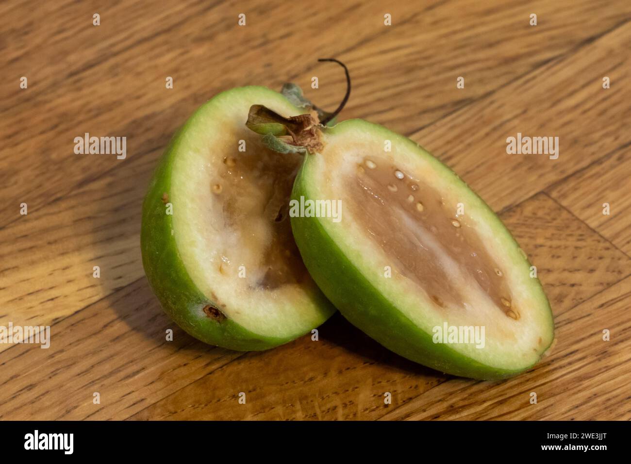 Fruit of the Pineapple Guava tree, Feijoa Sellowiana, an evergreen bush