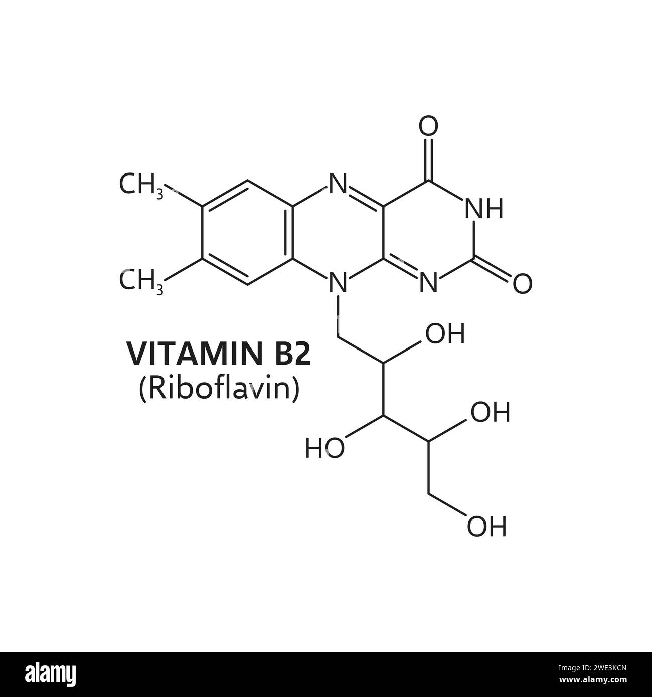 Vitamin b2, riboflavin molecular formula, vector structure c17h20n4o6