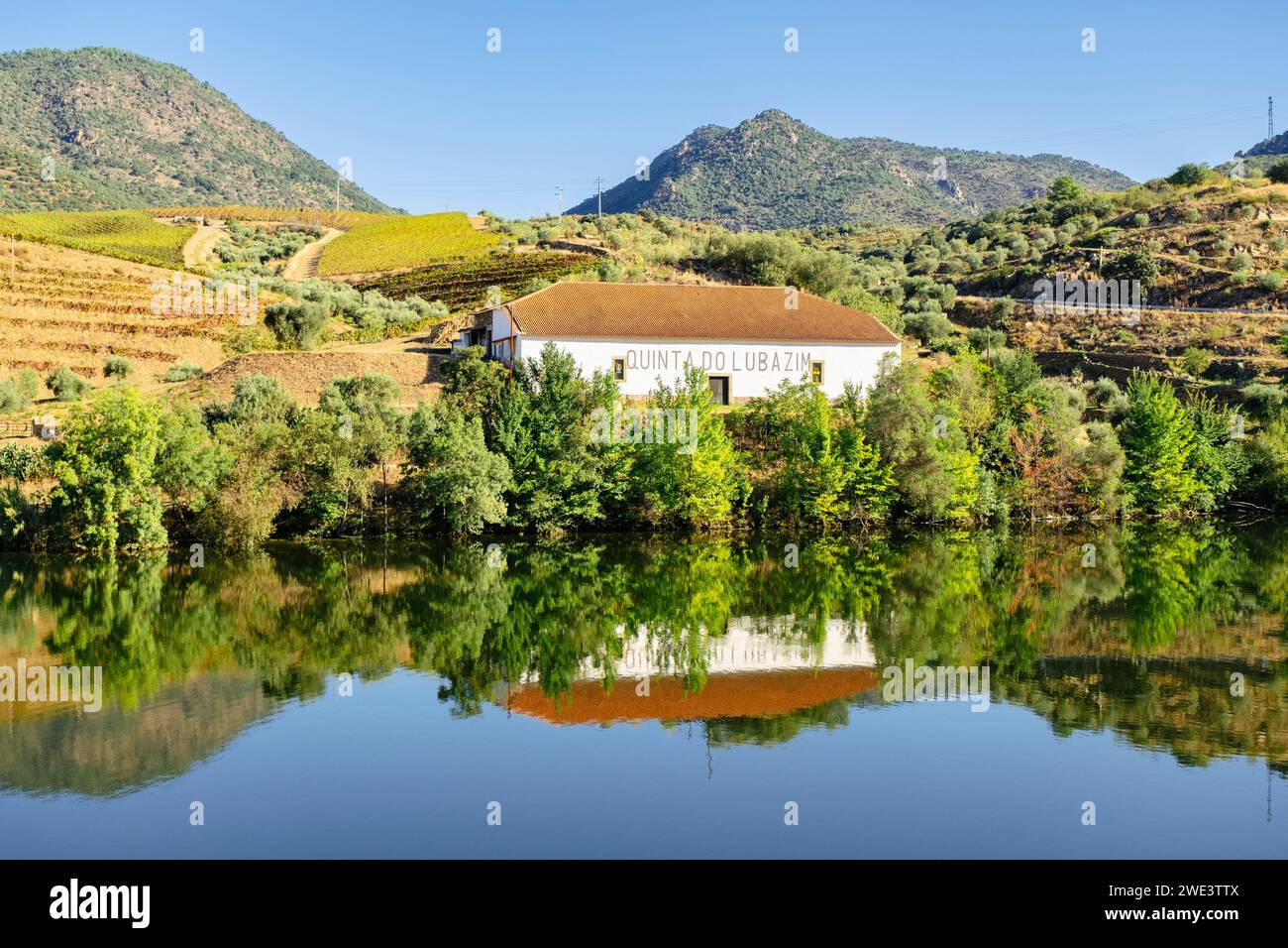 Quinta Do Lubazim with Olive groves and vineyards along the Douro River, Portugal, Europe. Stock Photo