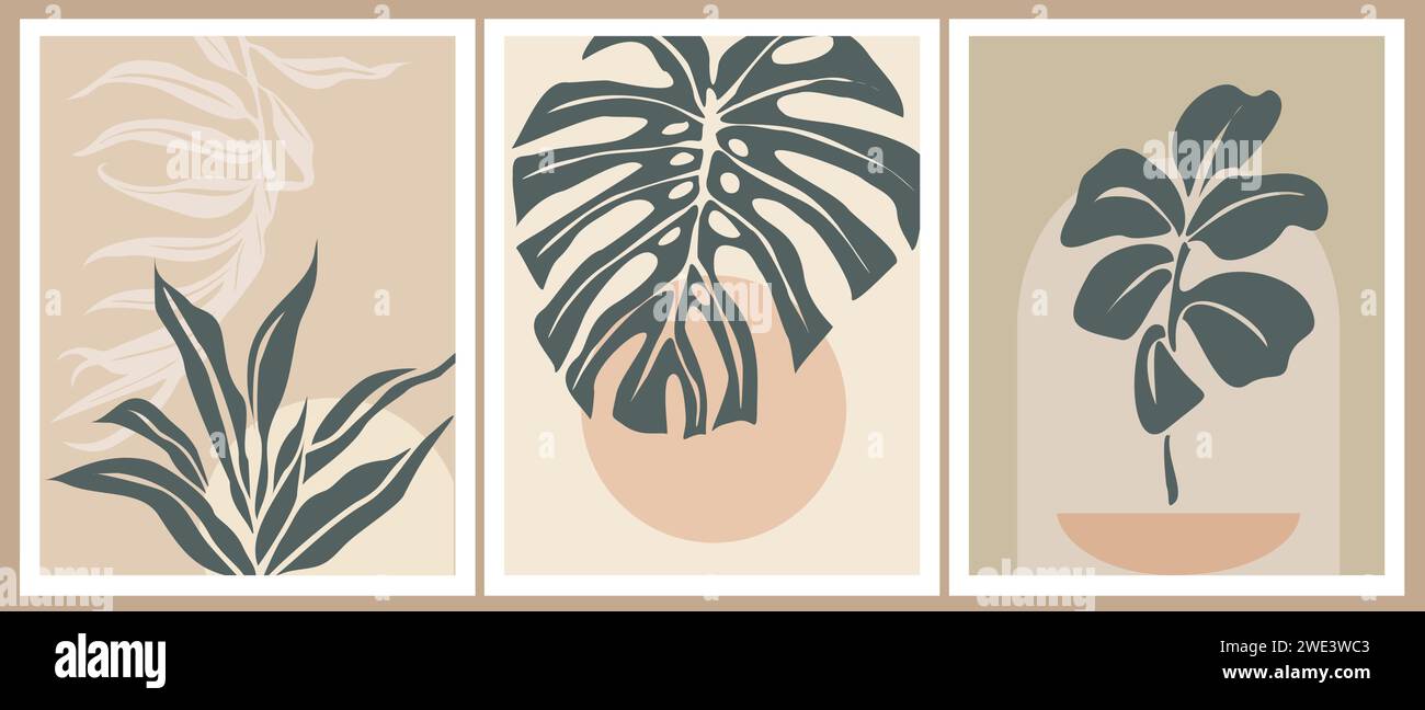 Set of Boho aesthetic abstract botanical wall arts Stock Vector Image ...