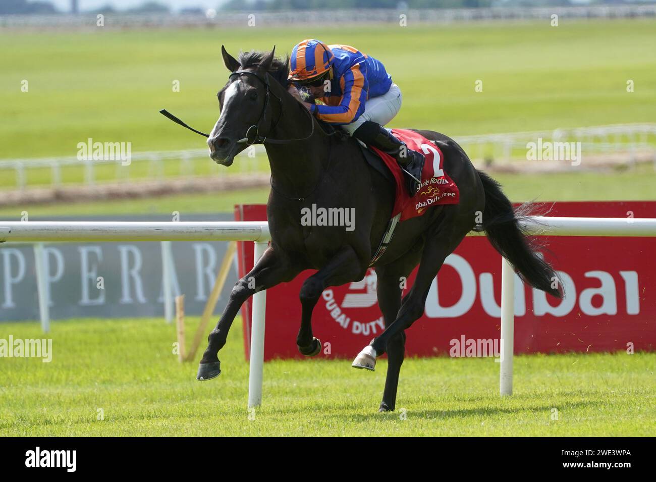 File photo dated 02-07-2023 of Auguste Rodin ridden by Ryan Moore. Aidan O'Brien has indicated last year's star three-year-old Auguste Rodin could begin his 2024 campaign in the Dubai Sheema Classic. Issue date: Tuesday January 23, 2024. Stock Photo