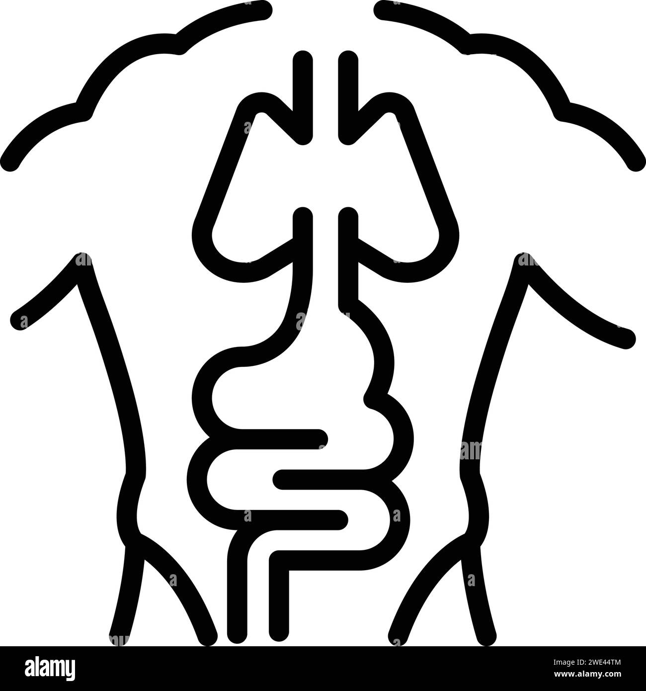 Icon for anatomy,body Stock Vector Image & Art - Alamy