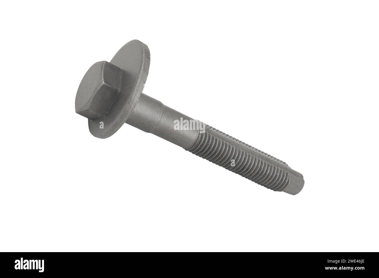 Camber adjusting bolts closeup isolated on white background. Cam bolt