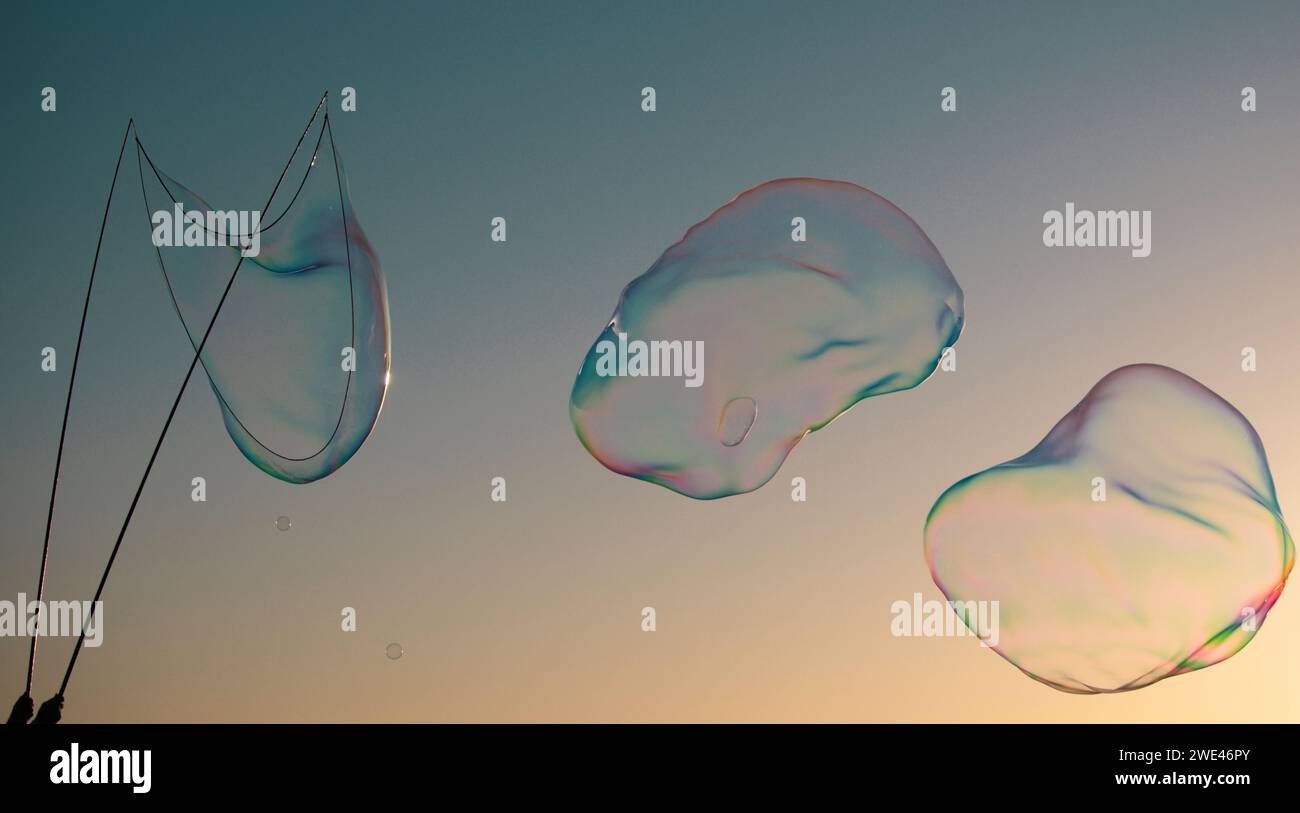 Flying soap bubbles on sky blue background at sunset. Big soap bubbles ...