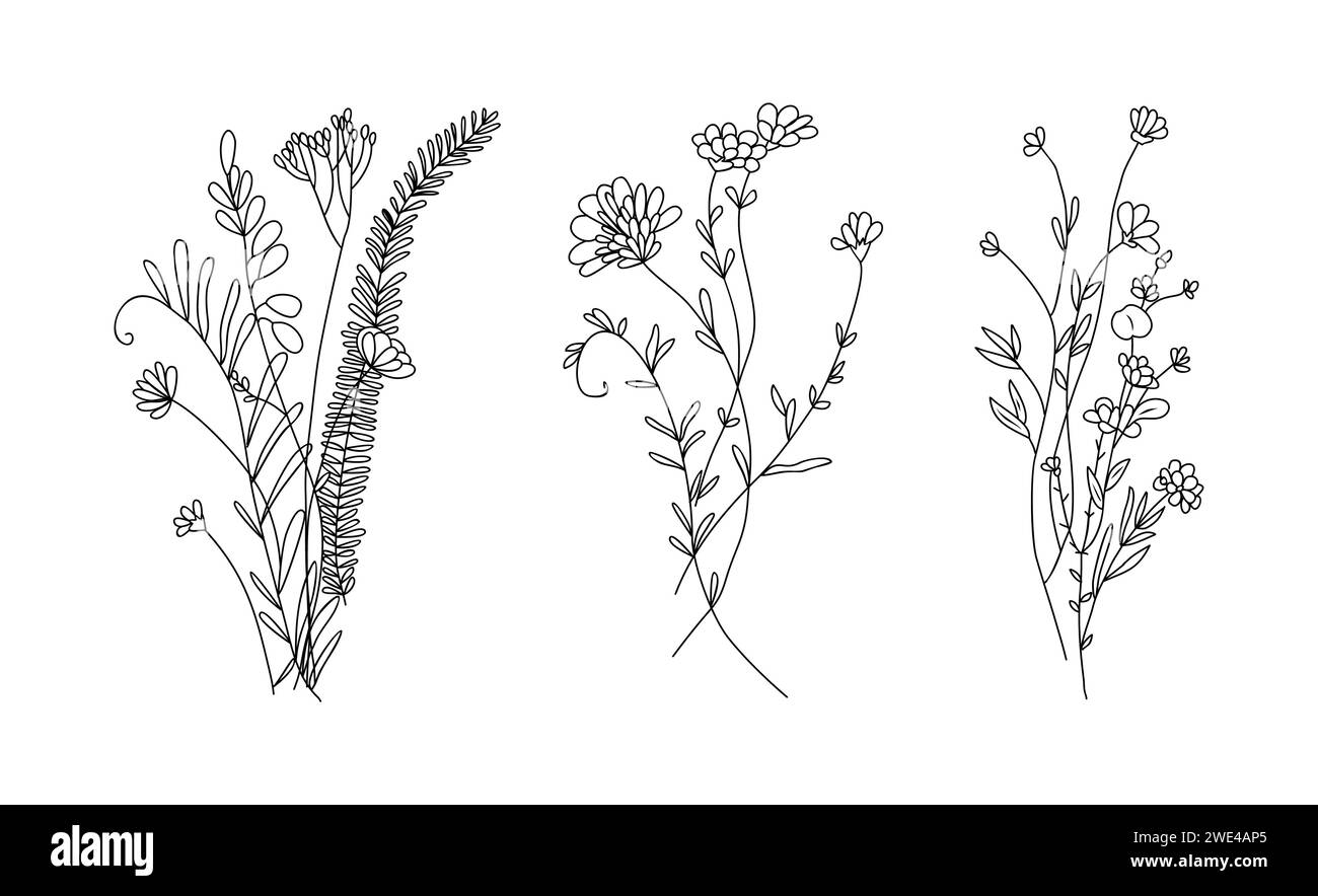 Wildflower tattoo Black and White Stock Photos \u0026 Images - Alamy, image size:1300x884