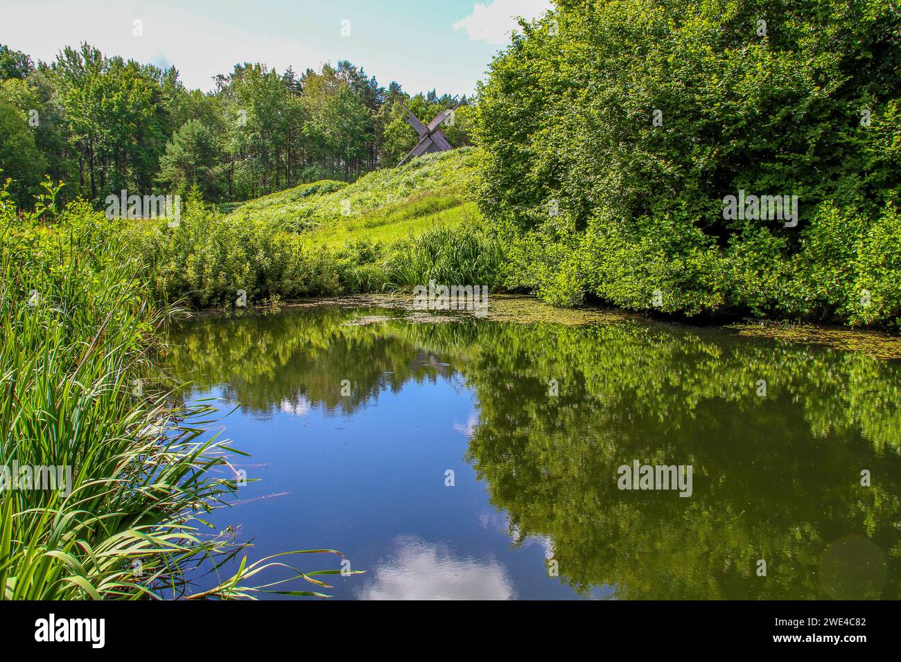 Calm pond in forest on a sunny summer day Stock Photo