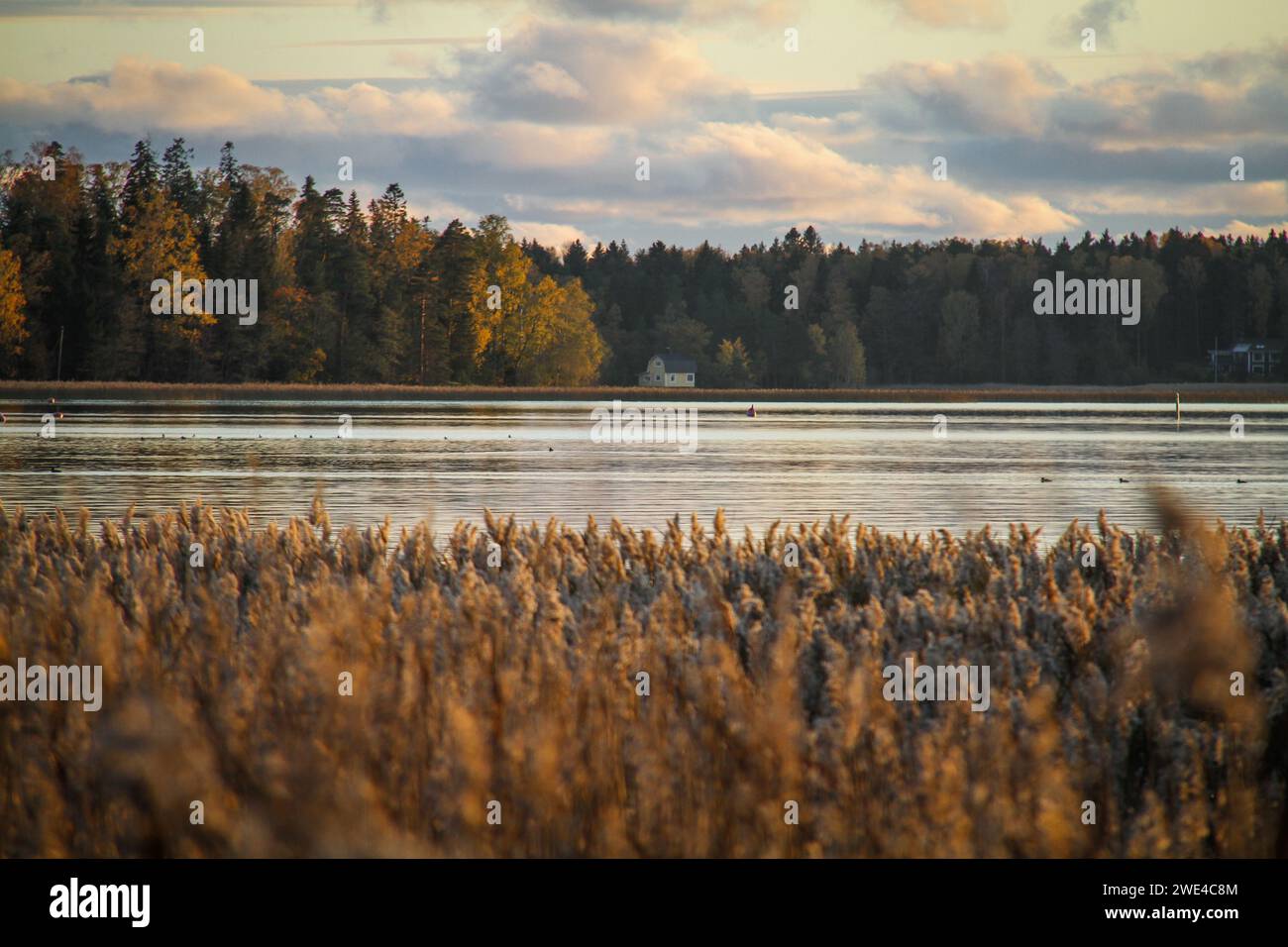 Beatiful sunset on a calm autumn evening Stock Photo