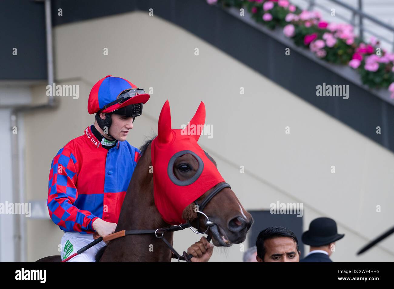 Meeting flyer hires stock photography and images Alamy