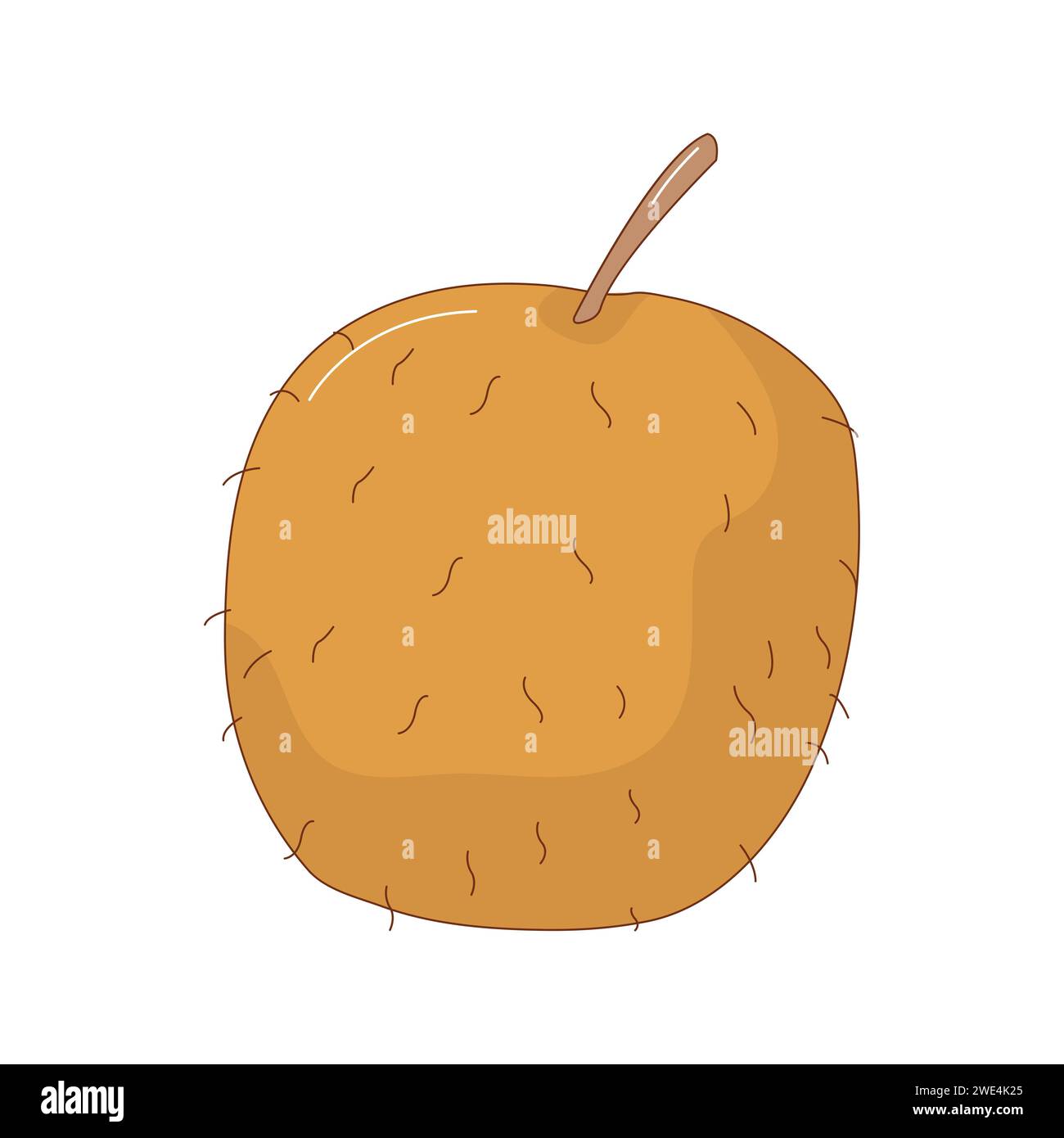 Hand drawn kiwi fruit vector illustration. Creative hand drawn fruit vector element Stock Vector