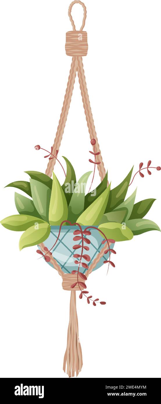 Houseplant and macrame plant growing in pots. Beautiful handmade home ...