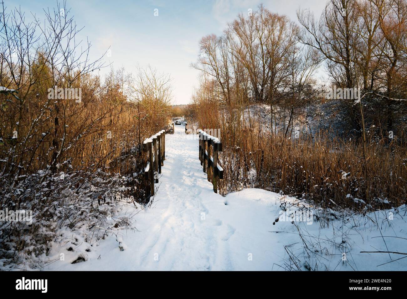 Biodiversity Haff Reimech, wetland and nature reserve in Luxembourg ...