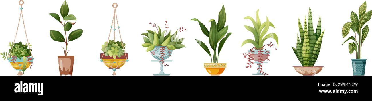 Houseplant and macrame plant growing in pots. Set of handmade home ...
