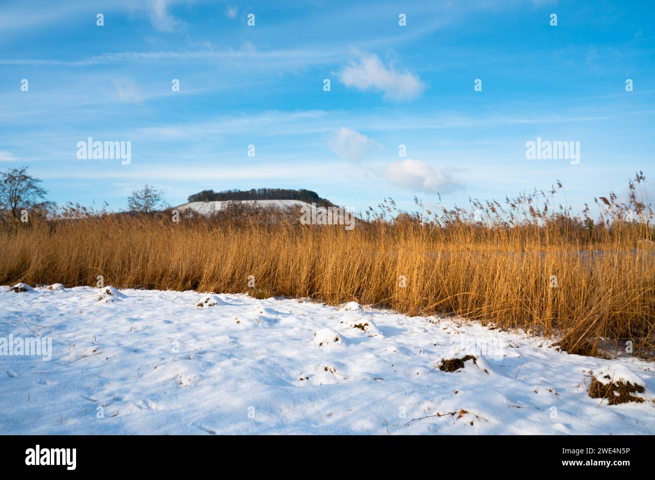 Biodiversity Haff Reimech, wetland and nature reserve in Luxembourg ...
