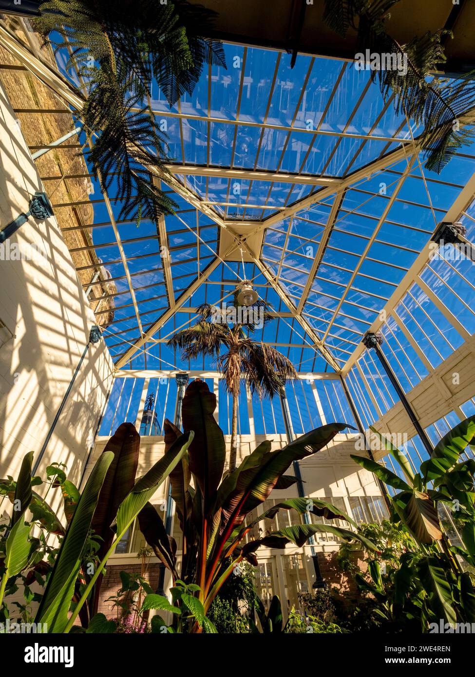 Exotic roof hi-res stock photography and images - Alamy