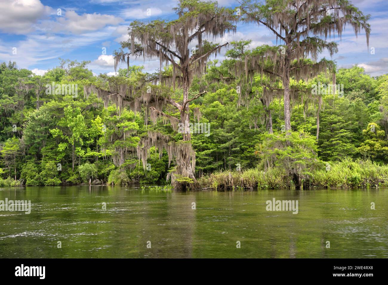 Wakulla Springs State Park, the world’s largest and deepest freshwater