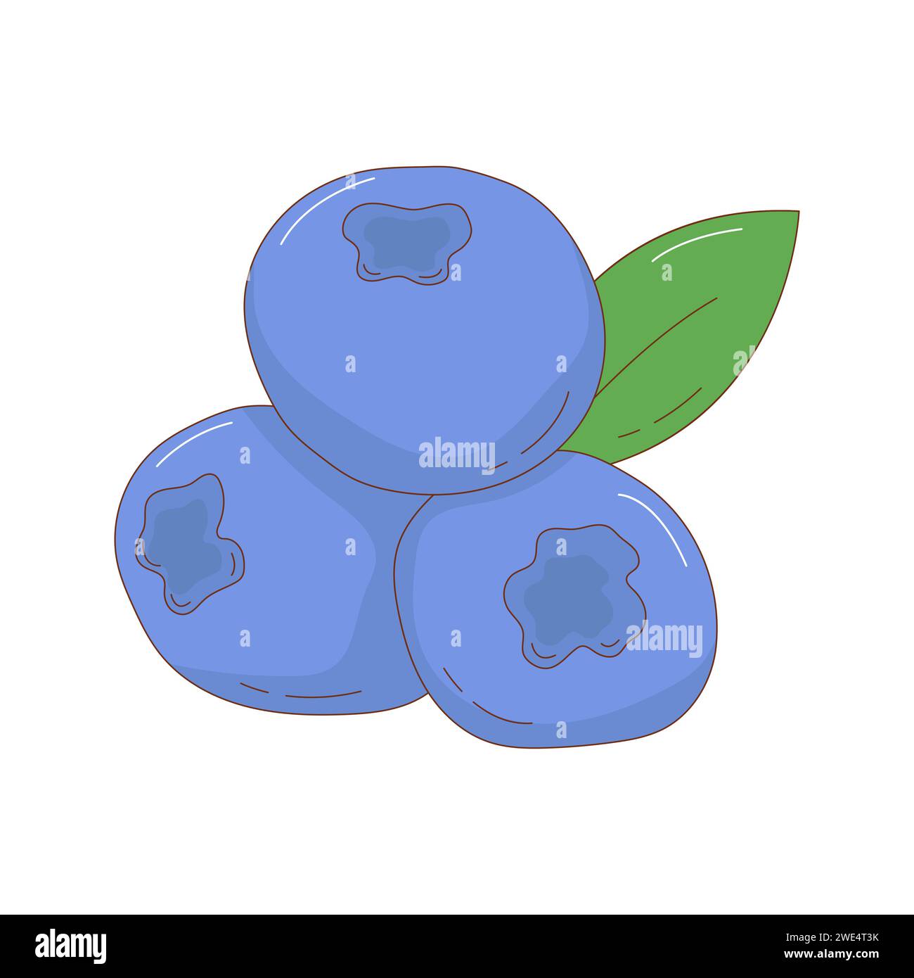 Hand drawn blueberry fruit vector illustration. Creative hand drawn ...