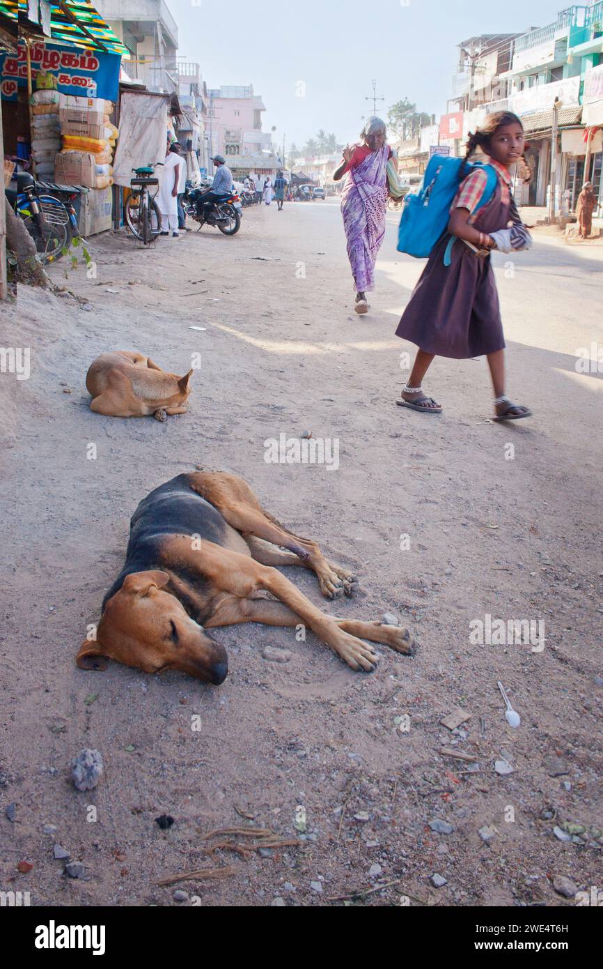 Indian school girl walking hi-res stock photography and images - Alamy