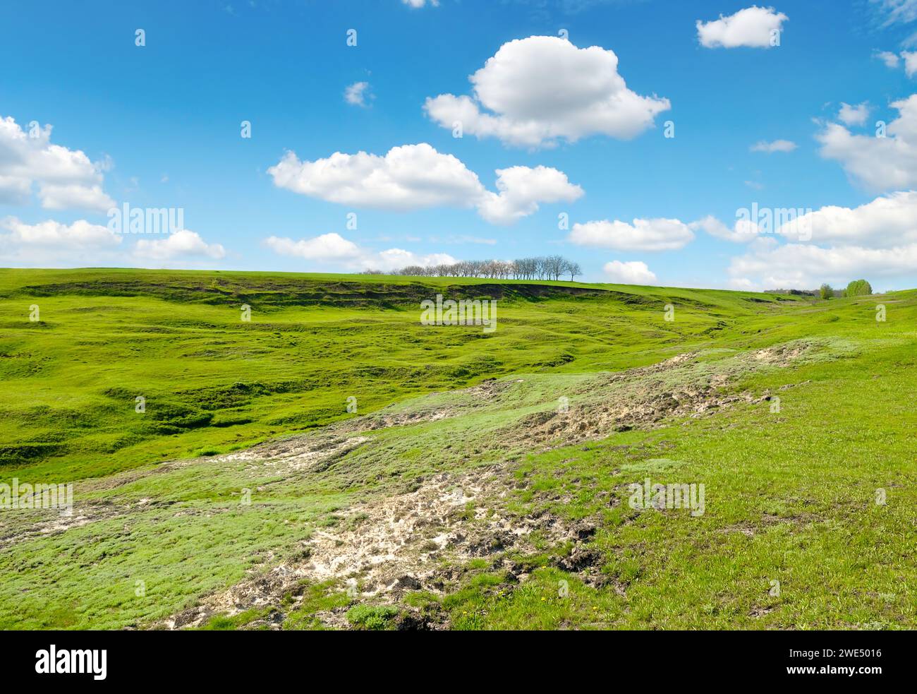 Large ravine on agricultural land. Soil erosion. Stock Photo