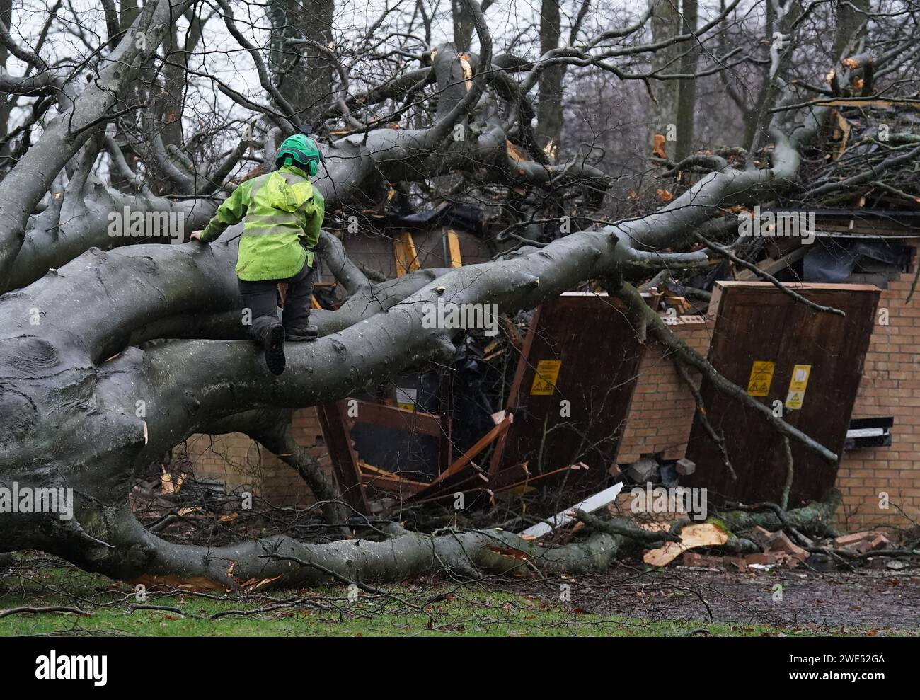 Workers remove a tree that fell on an electricity substation on the ...