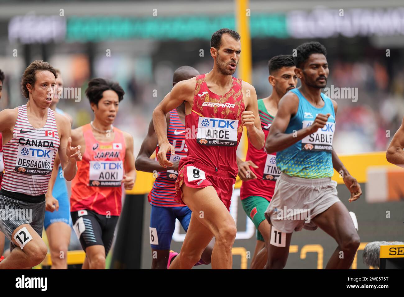 Daniel arce budapest 2023 hires stock photography and images Alamy