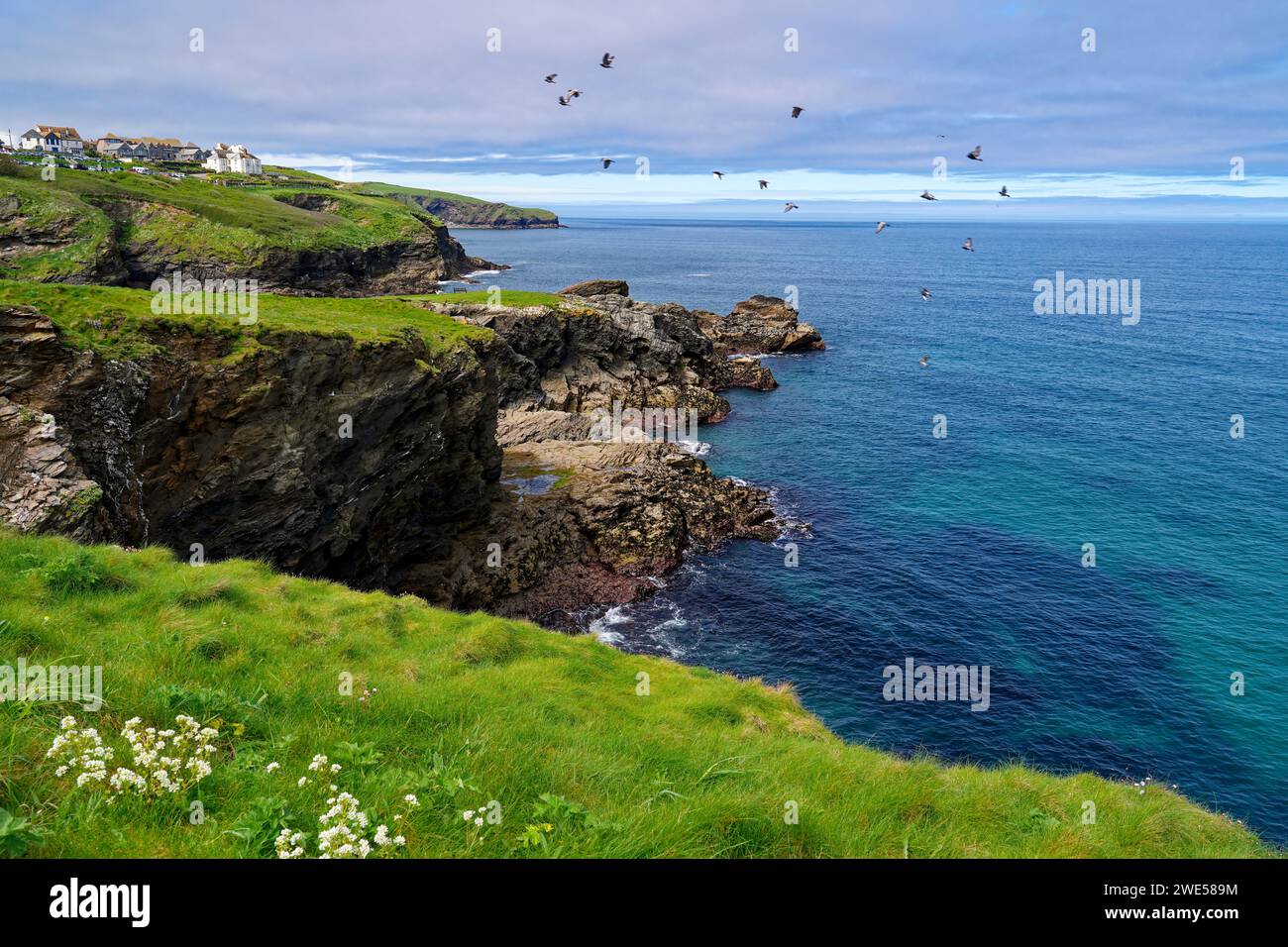 England, Cornwall, Port Gaverne near Port Isaac Stock Photo
