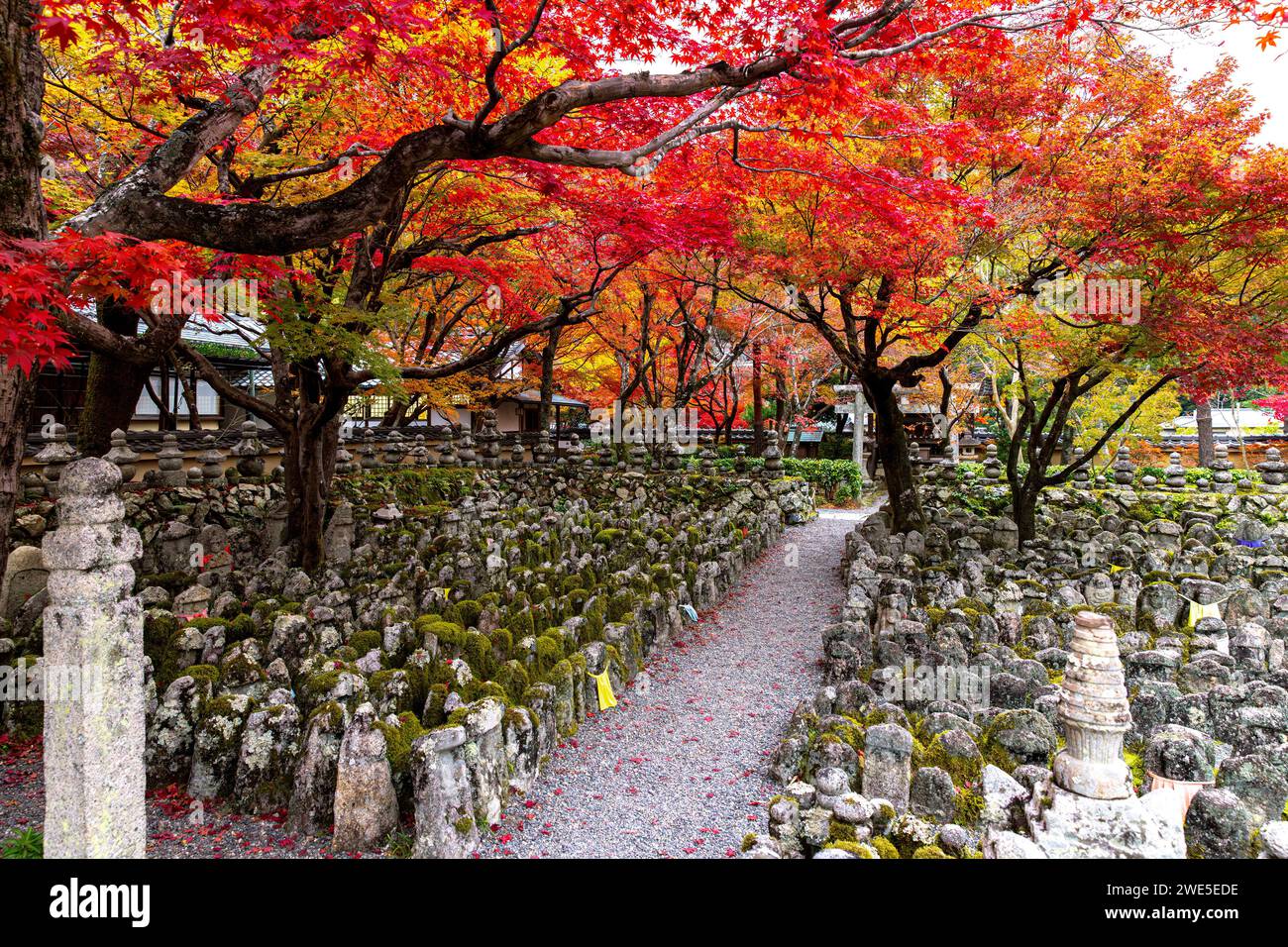 garden and tombs of the Adashino Nenbutsuji temple in Kyoto Stock Photo