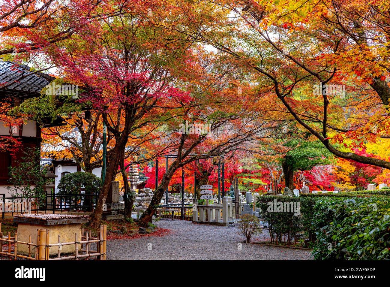 Adashino Nenbutsuji Temple Garden in Kyoto Stock Photo