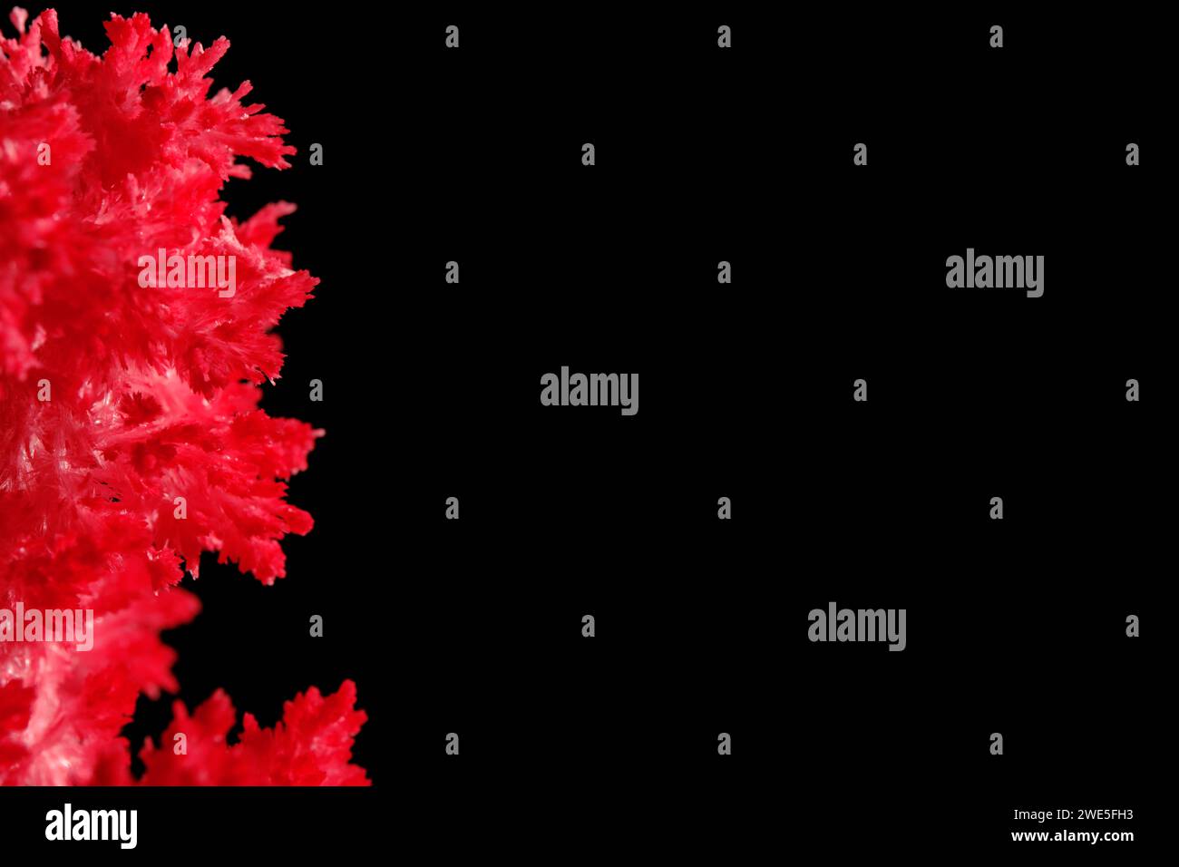 Macro image red salt crystal on black background Stock Photo