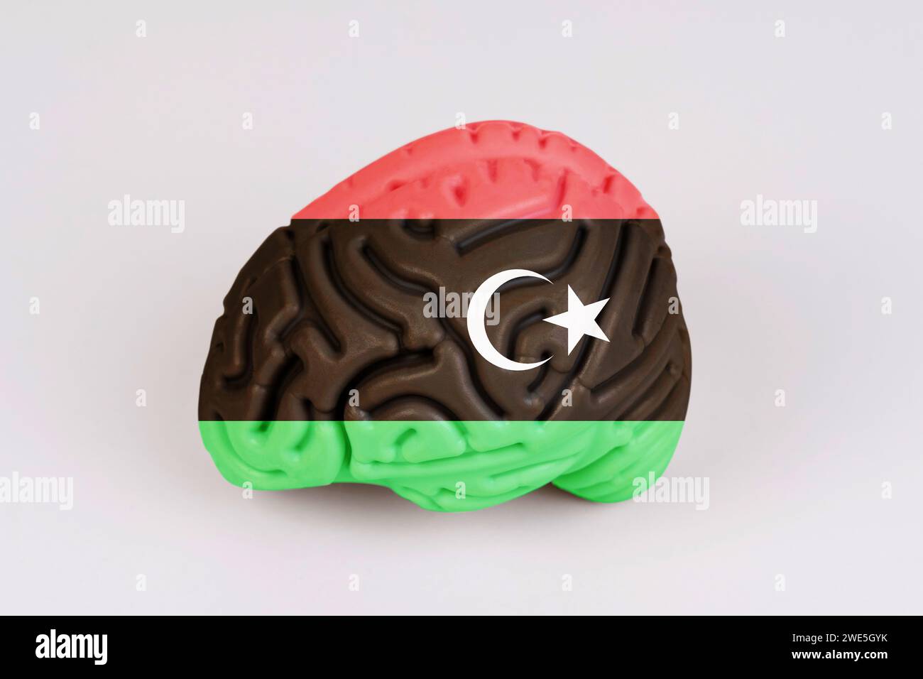 On a white background, a model of the brain with a picture of a flag - Libya. Close-up Stock Photo