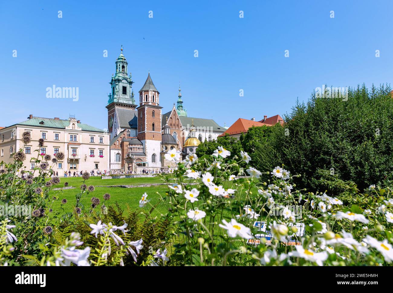 Wawel Plateau (Wzgórze Wawelskie) with cathedral and Sigismund&#39;s Chapel (Kaplica Zygmuntowska) in the old town of Kraków in Poland Stock Photo