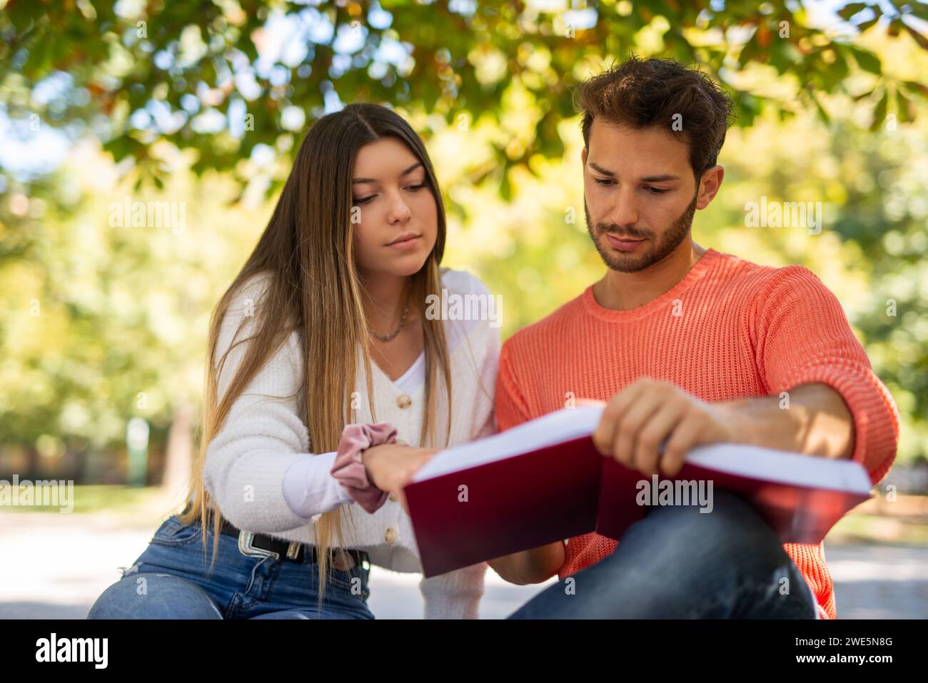 Male and female students studying together in a park Stock Photo