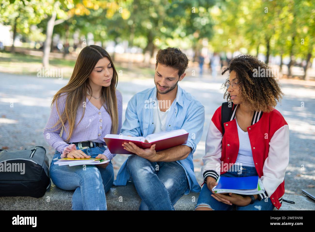 Group of college students studying together in a park Stock Photo