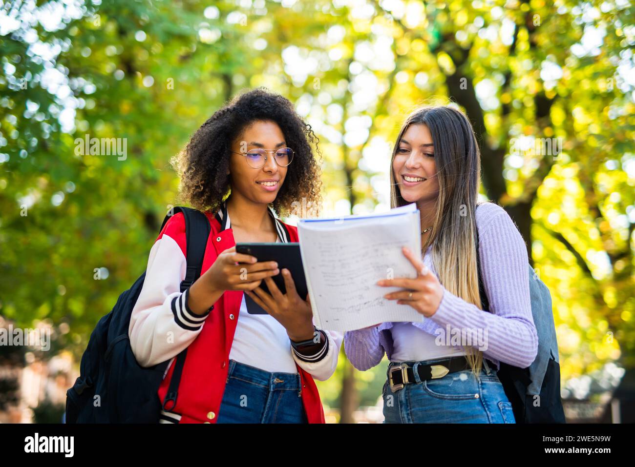 Female college students studying together in a park near their university Stock Photo