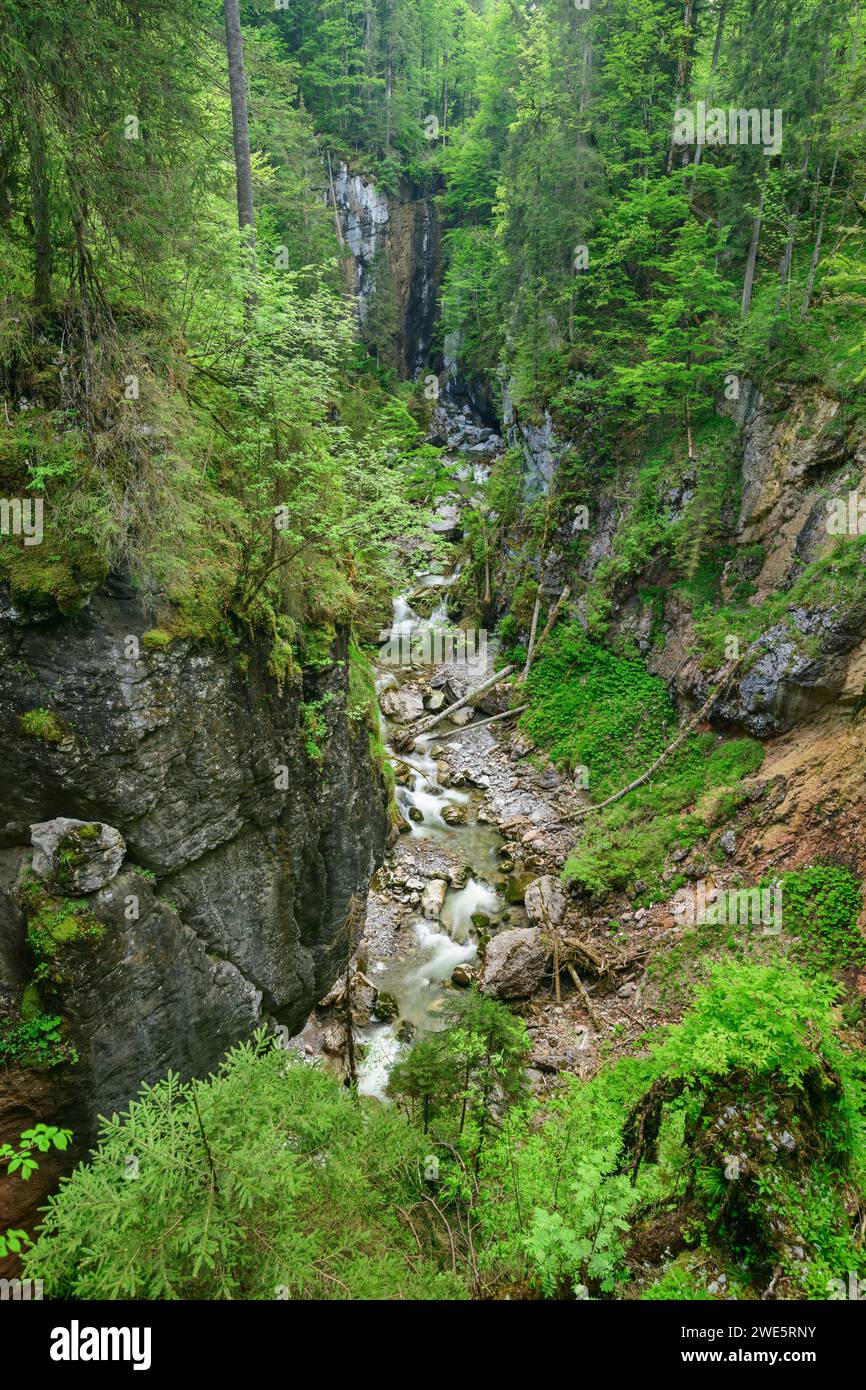 View into the Schwarzenbergklamm, Unken, Route of the Gorges, Chiemgau Alps, Salzburg, Austria Stock Photo