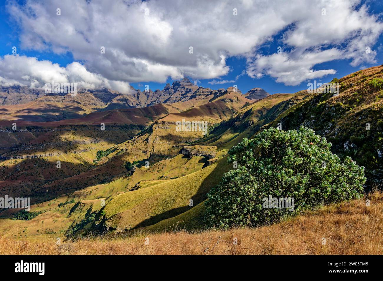 Cloudy atmosphere over the Drakensberg with Cathedral Peak, Baboon Rock ...