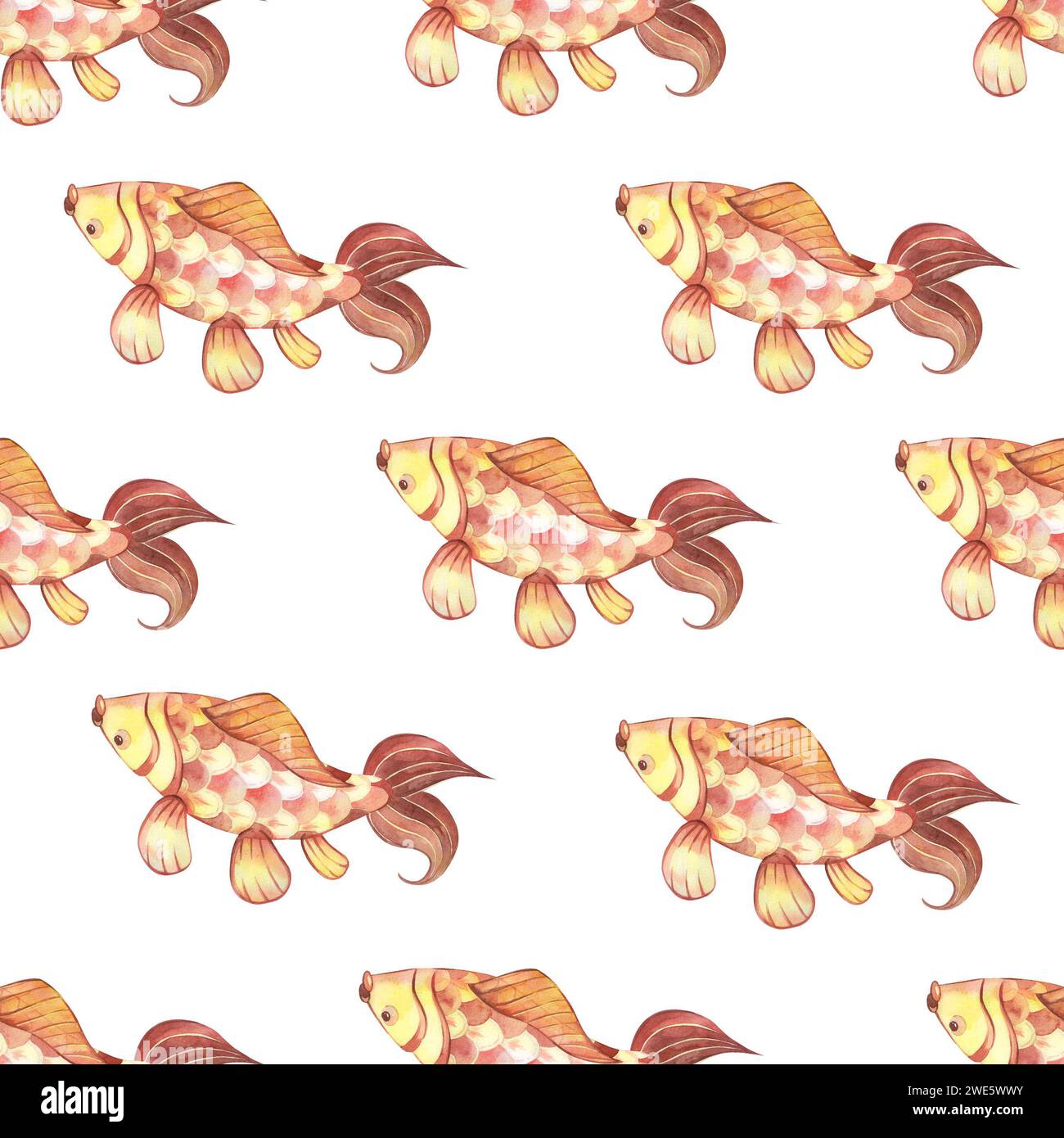 Seamless pattern. Chinese carp are red and yellow in color with large fins on a white background. All elements are hand-painted with watercolors. Stock Photo