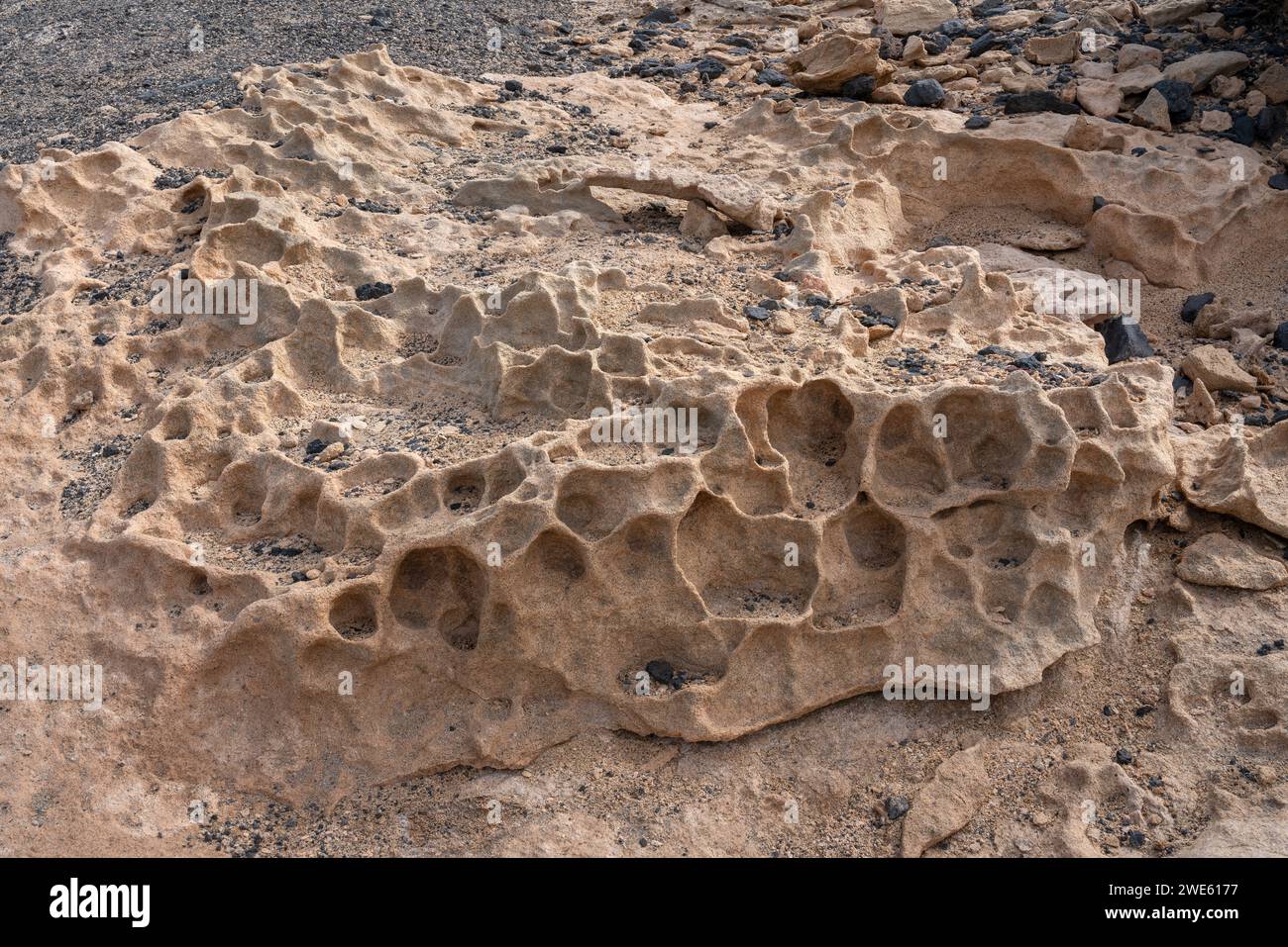Erosion of sandstone with natural holey structure in Fuerteventura Stock Photo