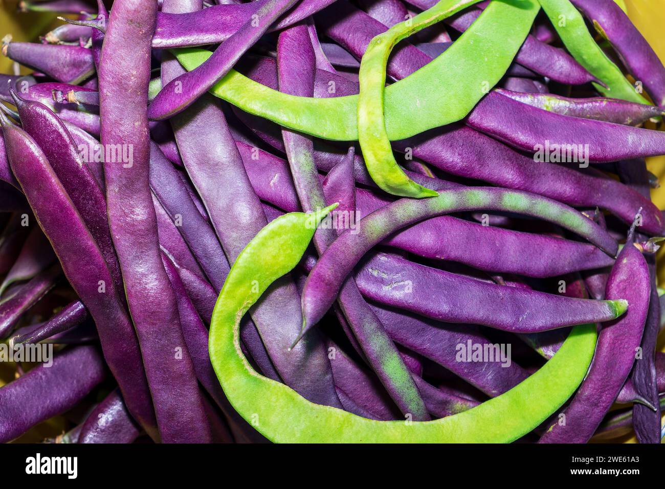 Purple string beans hi-res stock photography and images - Alamy