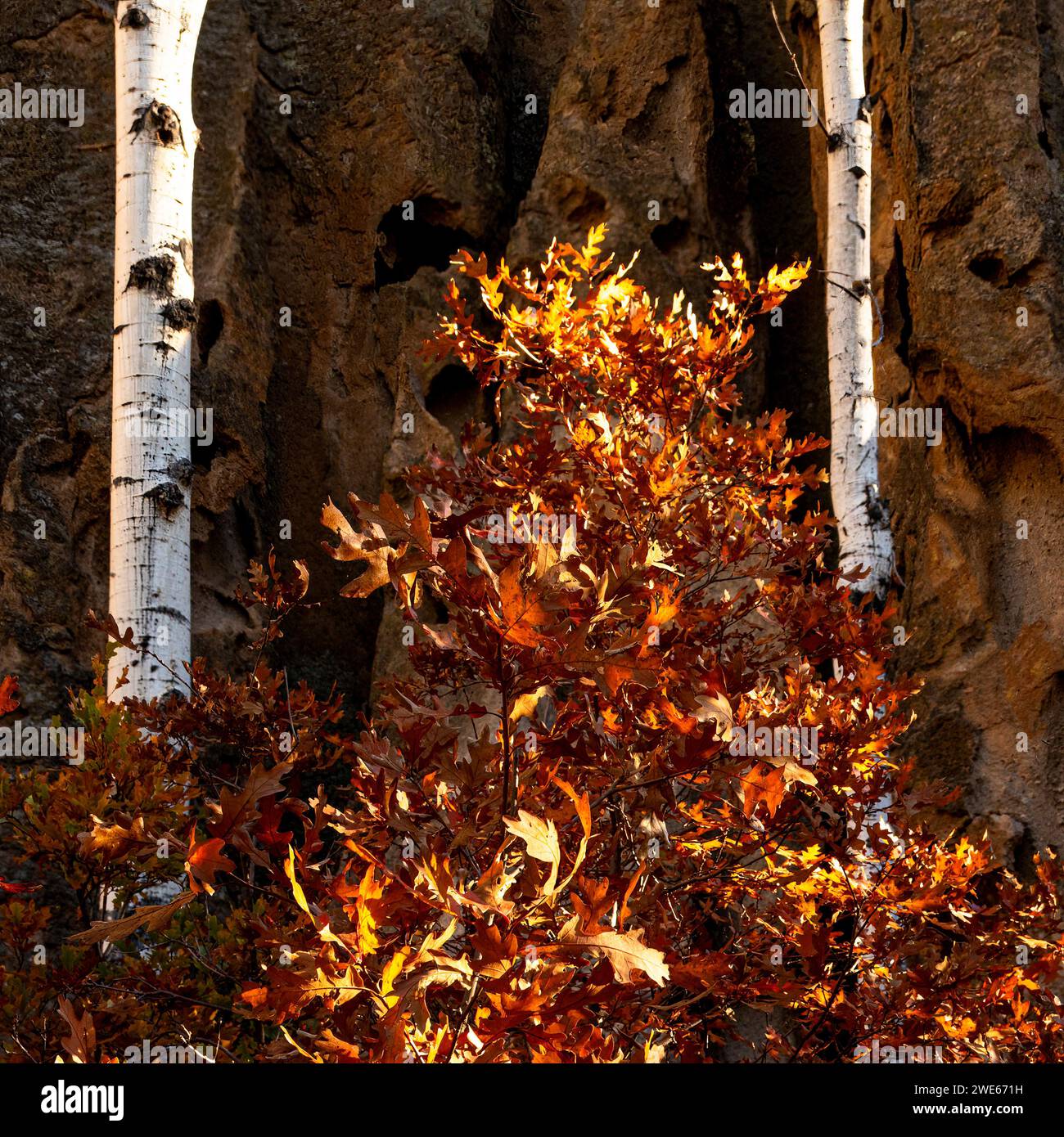 Fenton lake state park hi-res stock photography and images - Alamy