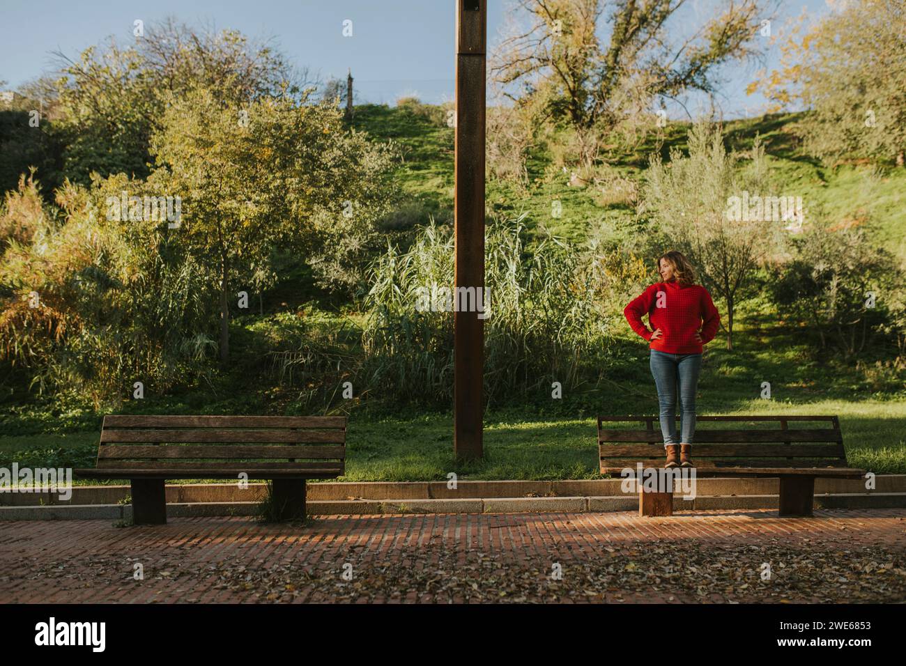 Red park trees bench hi-res stock photography and images - Alamy