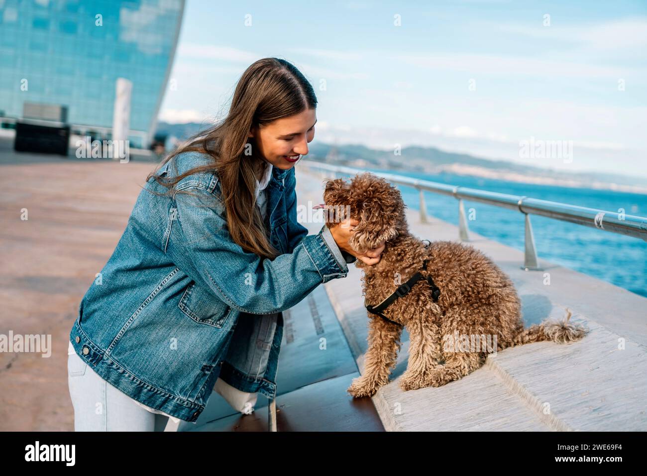 Happy young woman petting poodle dog on street Stock Photo