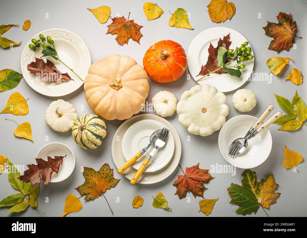 Various colorful pumpkins, autumn leaves and empty plates with cutlery for Thanksgiving Stock Photo