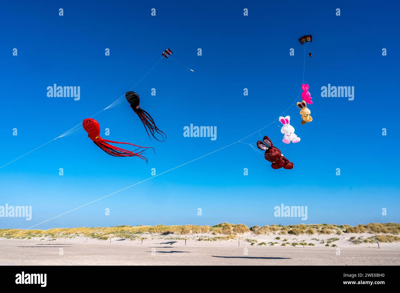 Germany, SchleswigHolstein, St. PeterOrding, Animal shaped kites