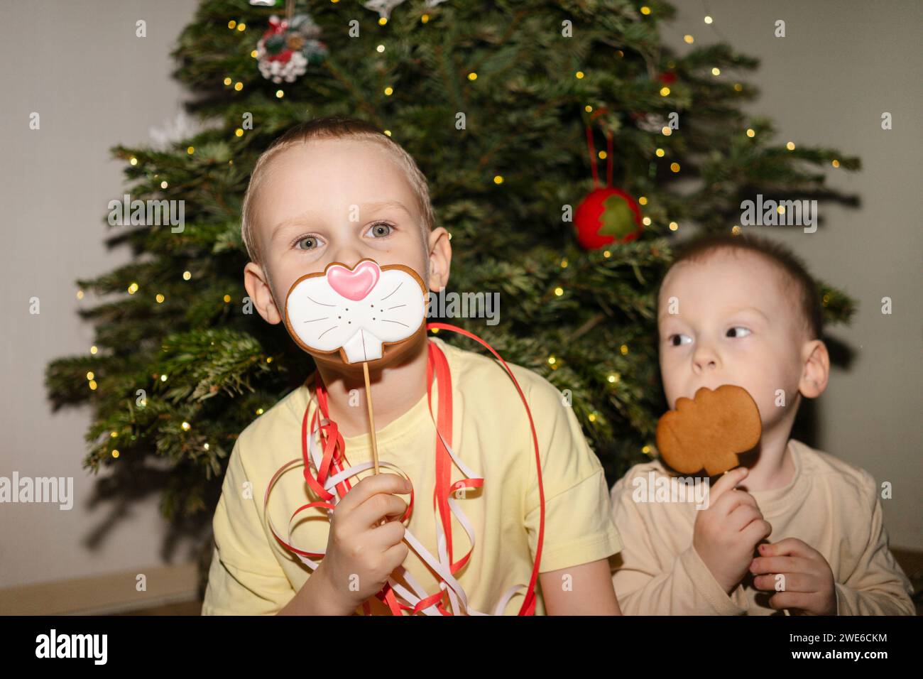 Brothers holding cookies over faces near Christmas tree Stock Photo